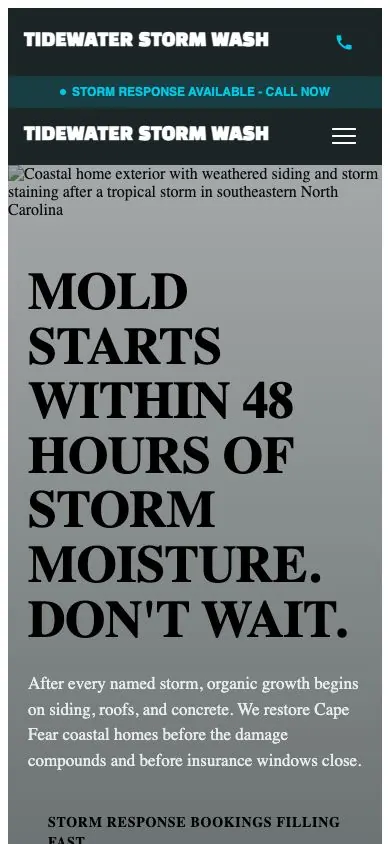 Storm Season design on a phone, sample site for Tidewater Storm Wash
